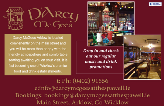 Darcy McGee's